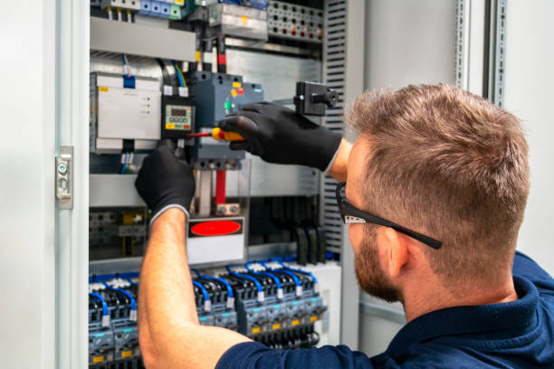 Best Electric Panel Repair  in Burgin, KY